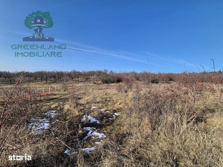 Teren de 560 mp, în Bârnova