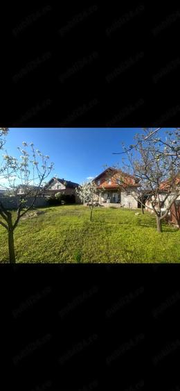 Casă cu Teren 603 Mp în Orțișoara
