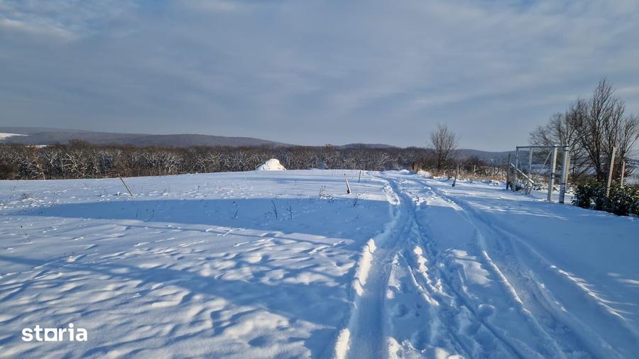 Teren de 3000 mp, în Nord