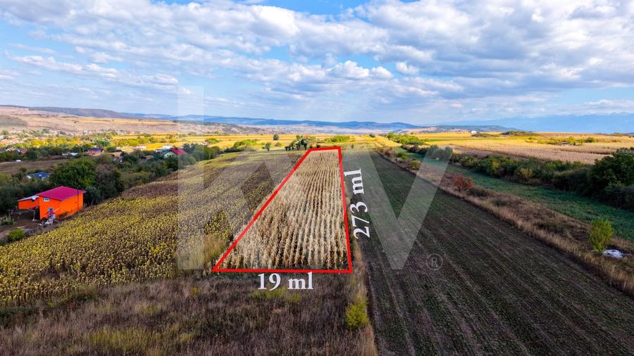 Teren agricol extravilan de 5000 mp, în Daia