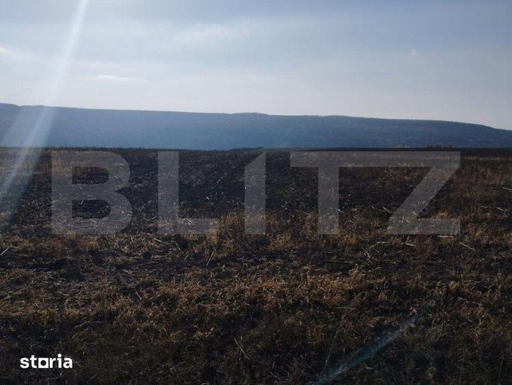 Teren de 28000 mp, în Lețcani