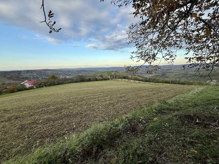 Teren de 14400 mp, în Cojocna