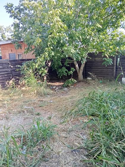 Apartament cu 3 camere decomandat în Popești-Leordeni
