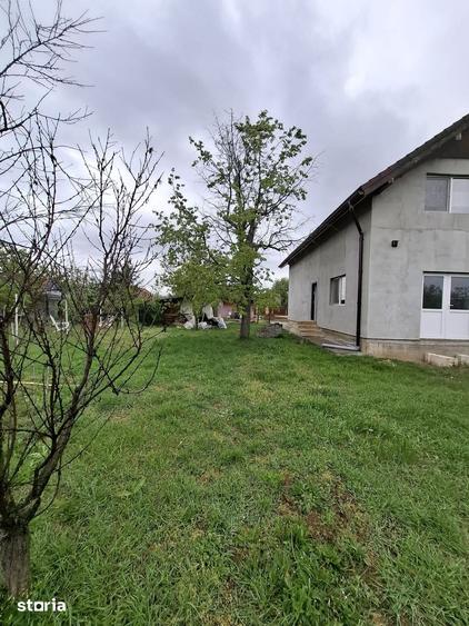 Comision 0 - Casa de vanzare in Carani, Jud. Timis, utilitati complete - 16