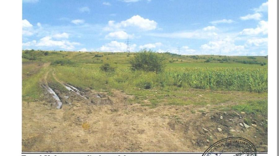 Teren agricol extravilan de 6900 mp, în Sud