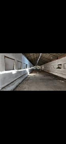 Spațiu industrial, de 89,927 mp, în Variaș