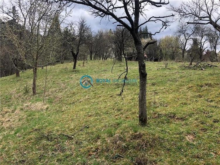 Teren Construcții intravilan de 5041.41015625 mp, în Voineasa