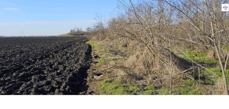 Teren de 9999 mp, în Stâlpu