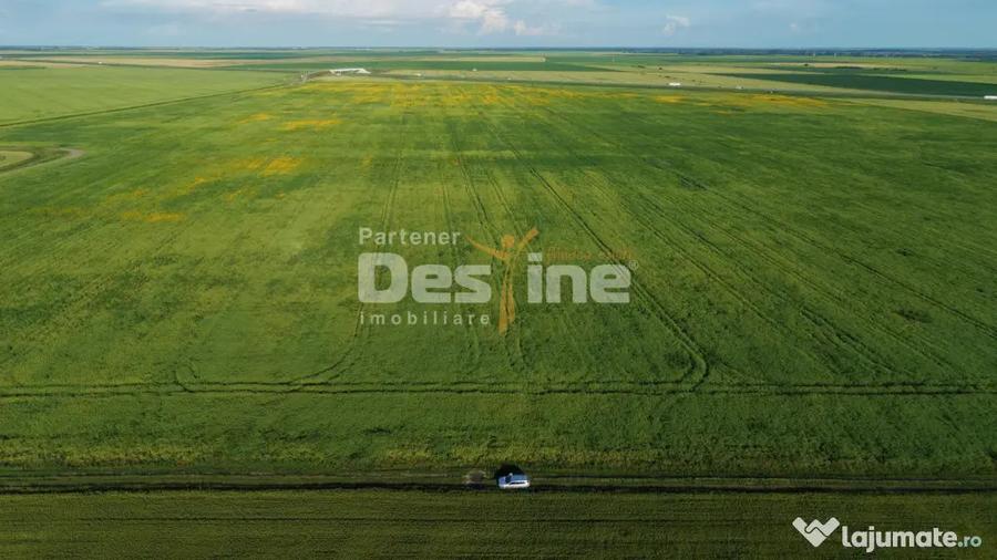 Teren de 41225 mp, în Dumbrava