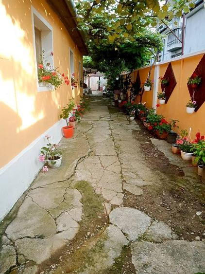 Casă cu 3 camere în Sânmartin