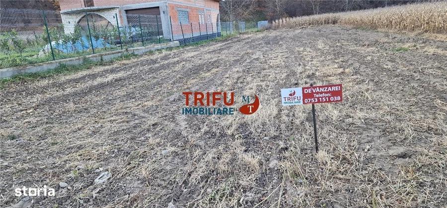 Spațiu comercial, în Ampoița