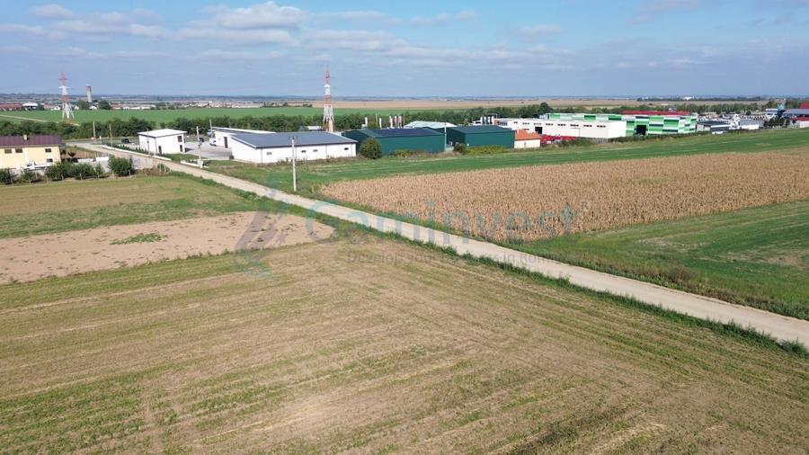 Teren Construcții intravilan de 66400 mp, în Biharia