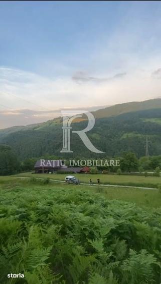Teren 10.900mp | Panorama in Apuseni | Reme?i Ideal pentru Investitii - 7