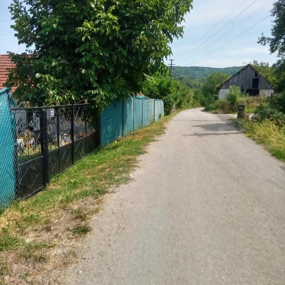 Casă individuală cu 2 camere cu Teren 1450 Mp în Baia de Criș