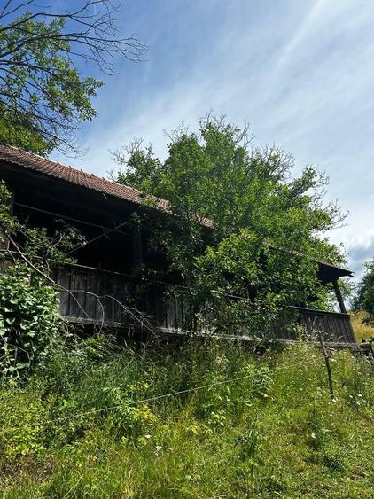 Teren de 5833 mp, în Bistra