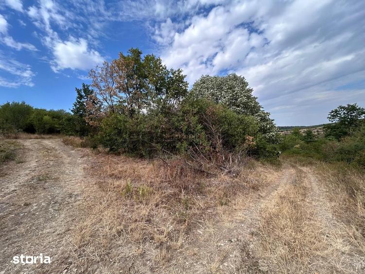Teren de 4316 mp, în Sântandrei