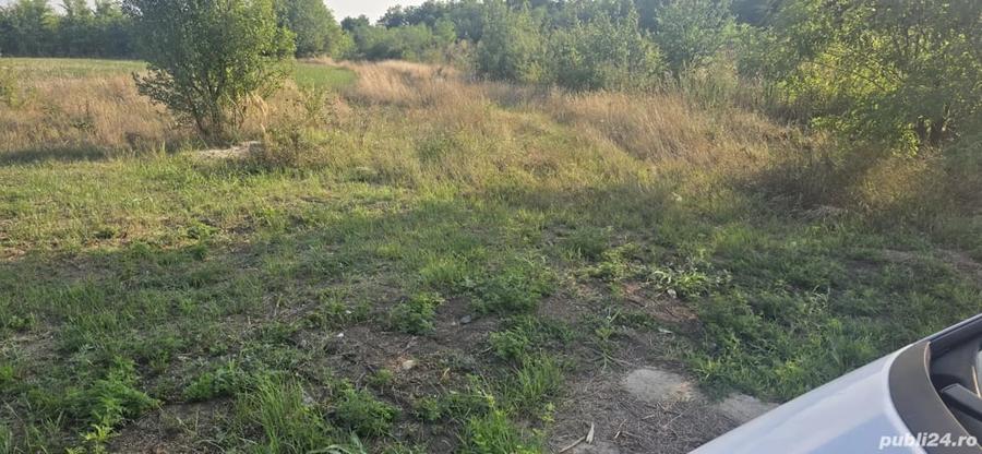 Teren de 2500 mp, în Giarmata