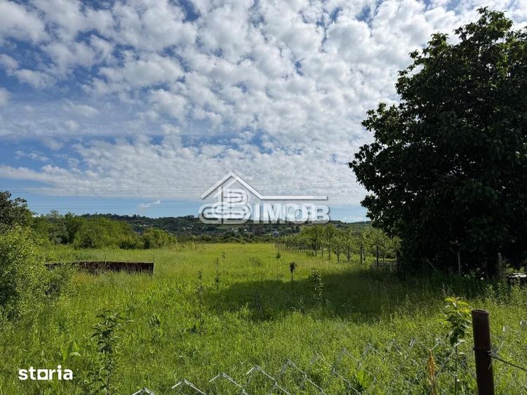 Teren de 2423 mp, în Răzvad