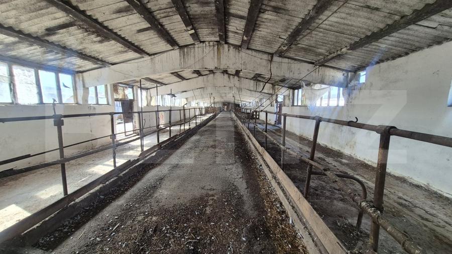 Spațiu industrial, de 1,800 mp, în Lazuri