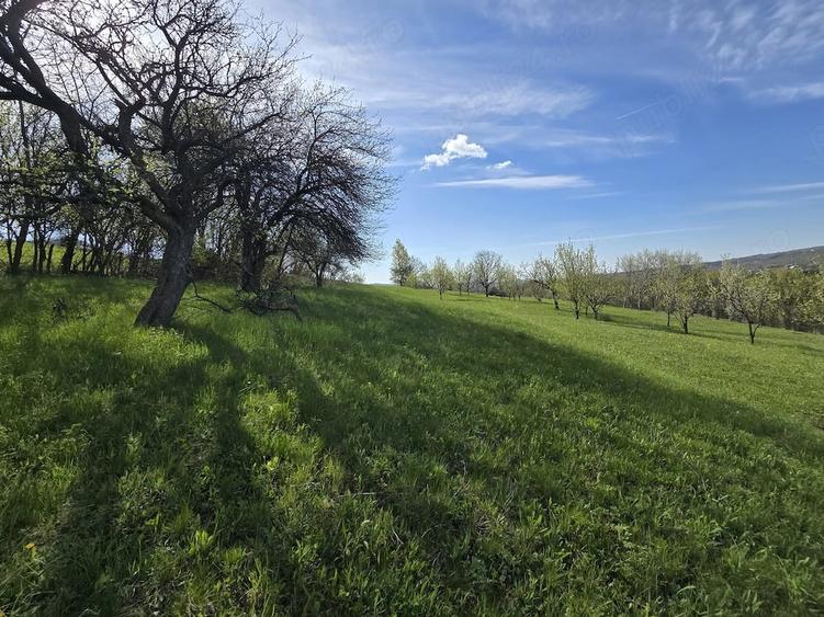 Teren extravilan 2500 mp Izvoarele Jud . Prahova - 5