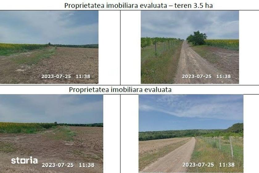 Teren de 35000 mp, în Horgești