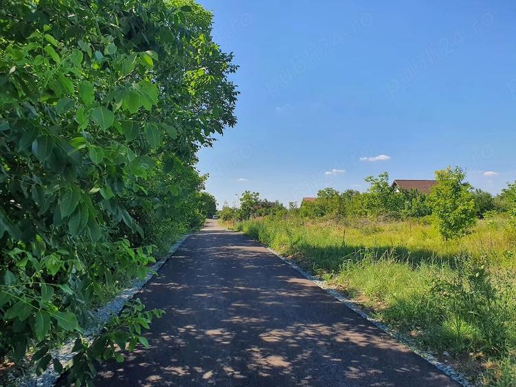 Teren de 2637 mp, în Lilieci