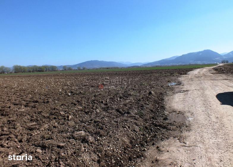 Teren de 35000 mp, în Central