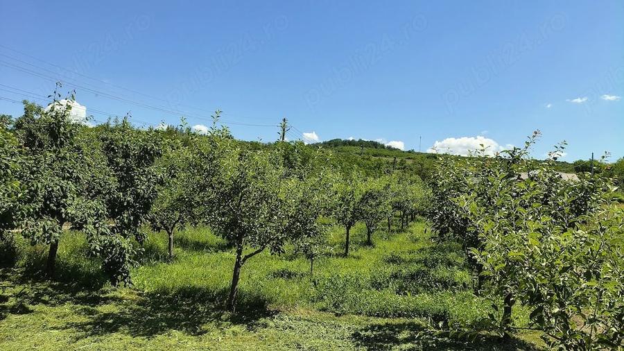 Teren de 604 mp, în Călinești