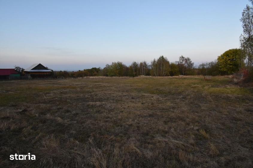 Teren de 2540 mp, în Căpușu Mare