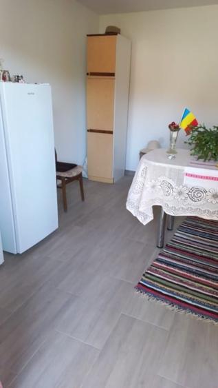 Casă individuală cu 4 camere cu Canalizare în Cașin