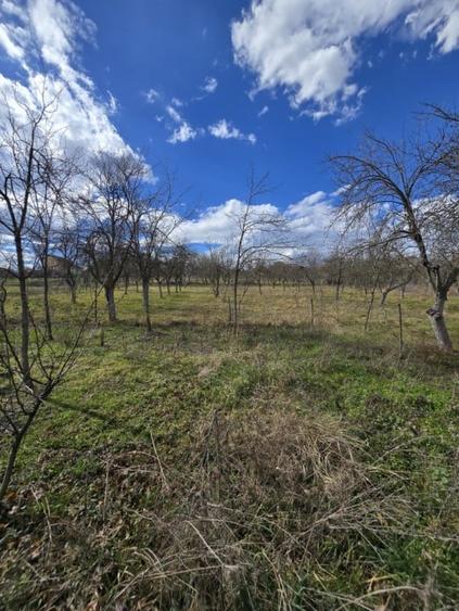 Casă individuală cu 3 camere cu Teren 2876 Mp în Herneacova