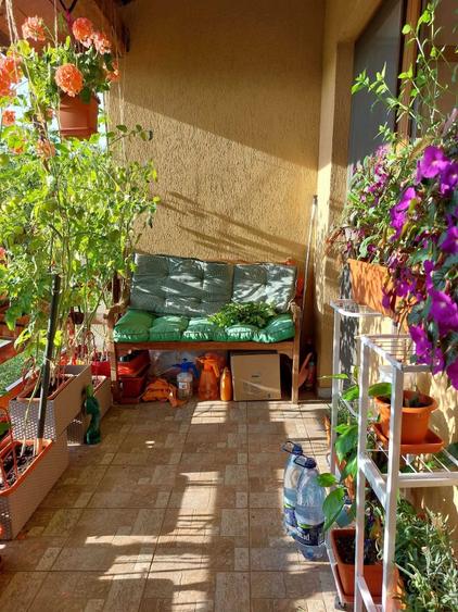 Apartament cu 3 camere semidecomandat în Dosu Bricii