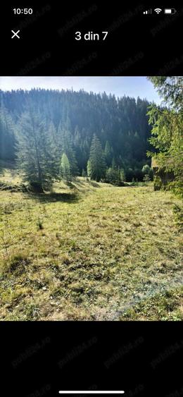 Teren de 34600 mp, în Cârlibaba