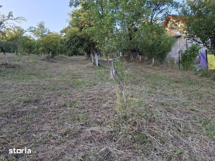 Teren de 1500 mp, în Berislăvești
