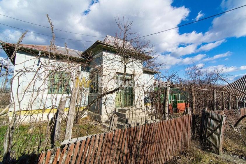 Casă cu 3 camere cu Teren 4145 Mp în Vedea