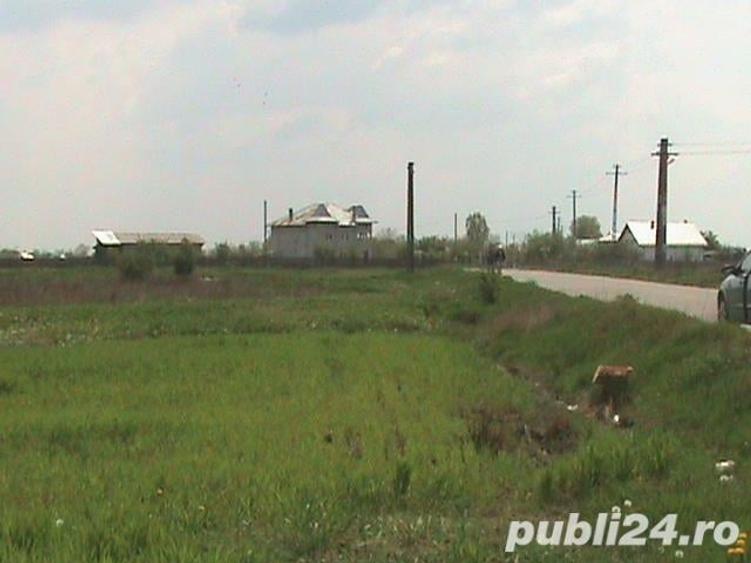 Teren de 3636 mp, în Oarja