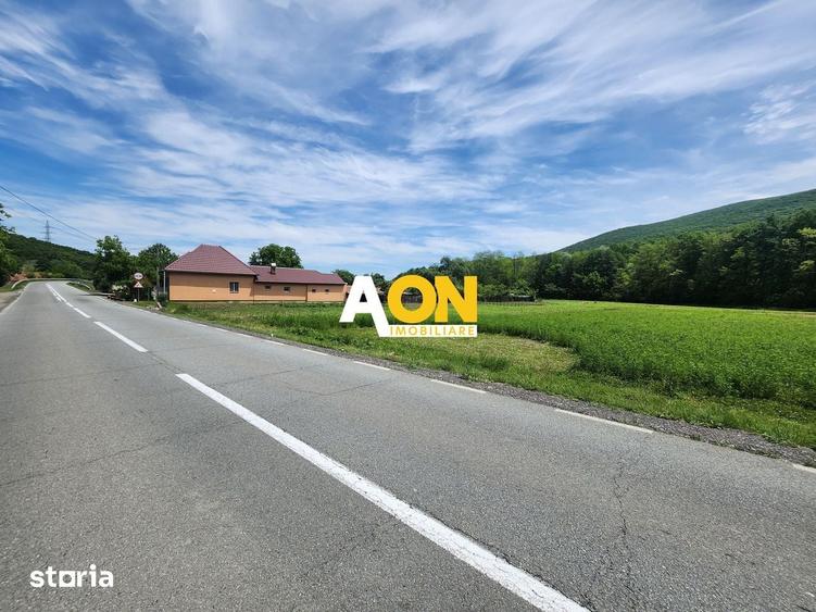 De vanzare teren 936mp cu utilitati, Gura Ampoitei - 4