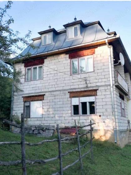 Casă cu Teren 3500 Mp în Vișeu de Jos