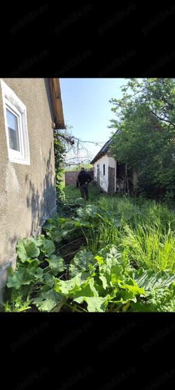 Casă cu Teren 1400 Mp în Voivodeni