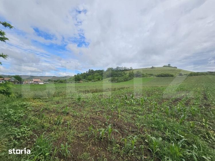 Teren de 4200 mp, în Sâncel