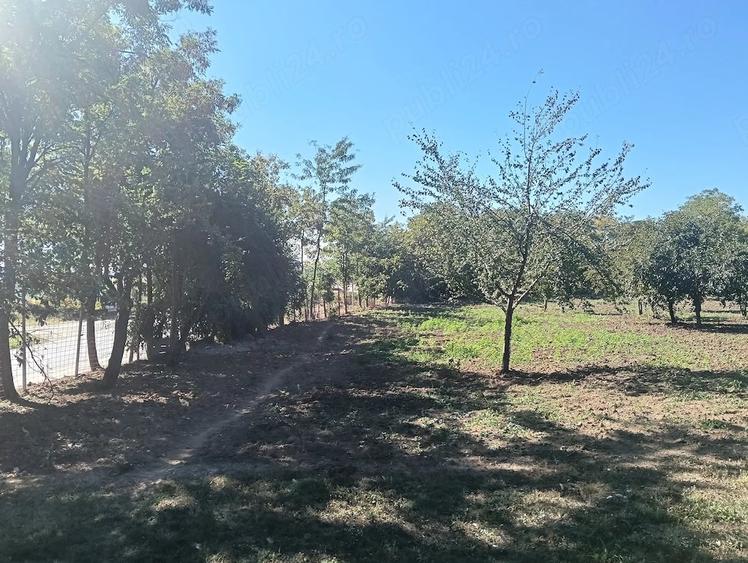 Teren de 1200 mp, în Păulești
