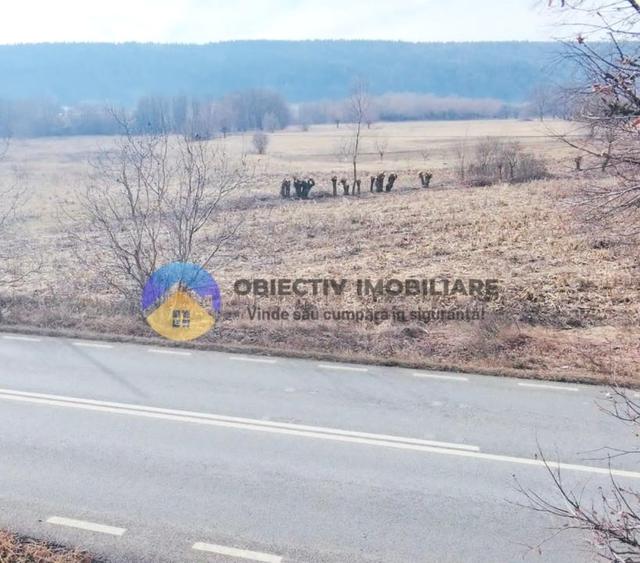 Teren intravilan de 3035 mp, în Bodești