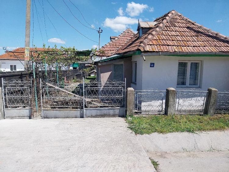 Teren de 6000 mp, în Budești