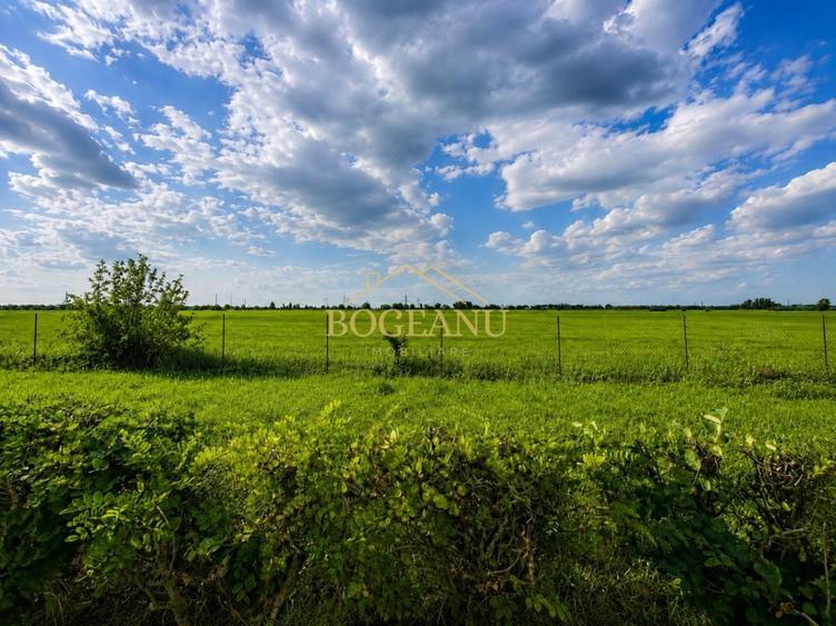 Teren agricol extravilan de 46400 mp, în Giroc