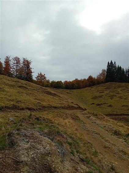 RECO Teren extravilan la Cresuia, Stana de Vale - 9