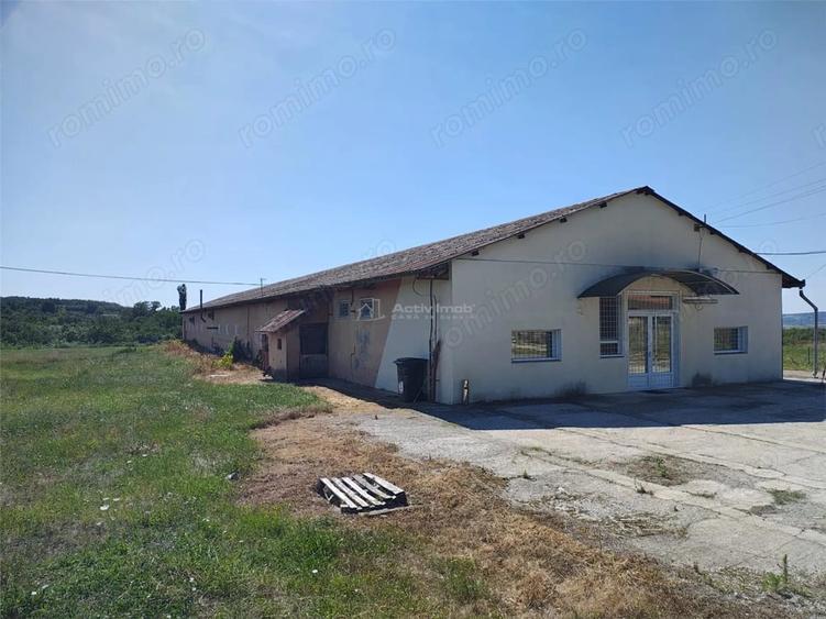 Spațiu comercial, de 972 mp, în Mișca