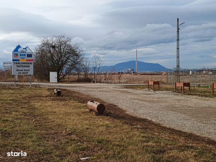 Teren de 9000 mp, în Est