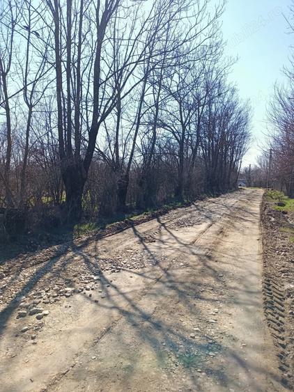 Teren de 1493 mp, în Șerbănești (Rociu)