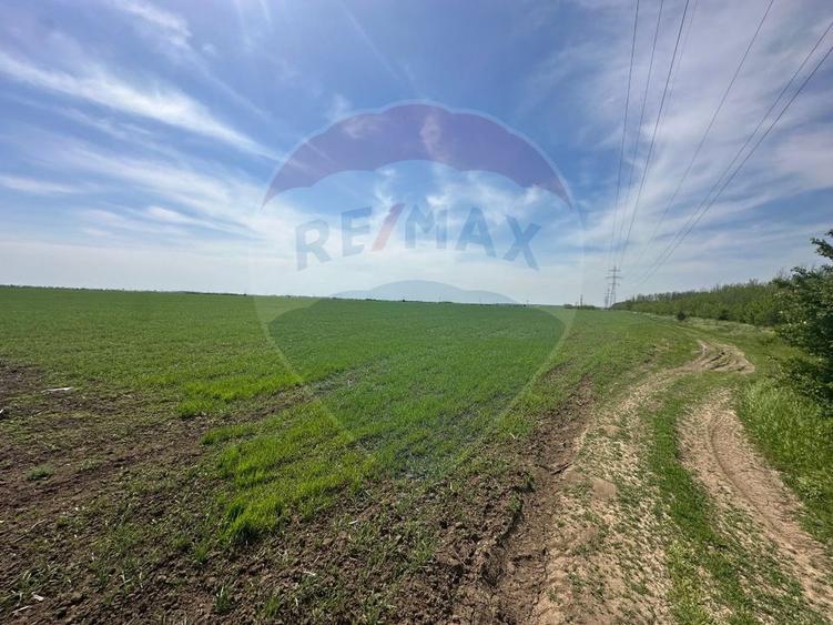 Teren Construcții intravilan de 138104 mp, în Dragomirești-Vale