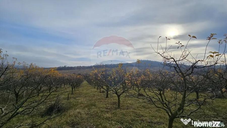 Teren de 10791 mp, în Fălticeni